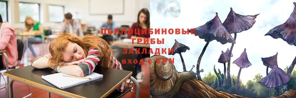 стафф Гусь-Хрустальный