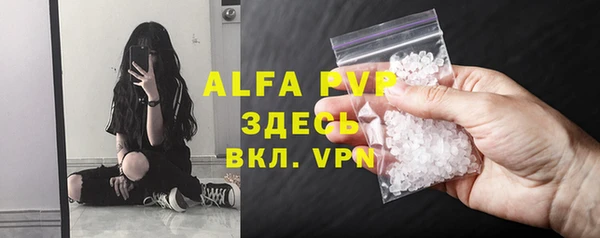 дживик Шали