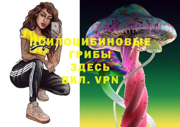 скорость Гусиноозёрск