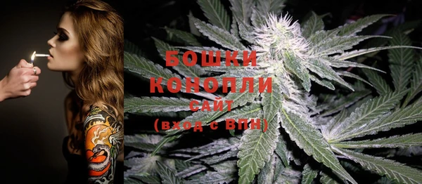 тгк Няндома